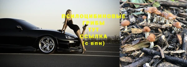 дурь Абдулино