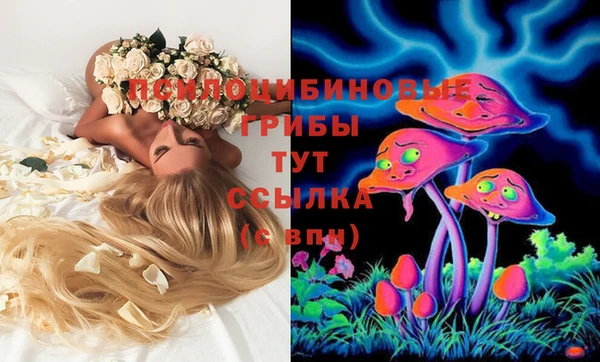 не бодяженный Саяногорск