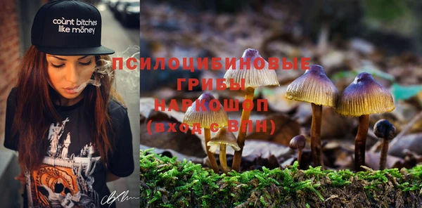 экстази Абаза