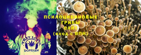 дурь Сатка