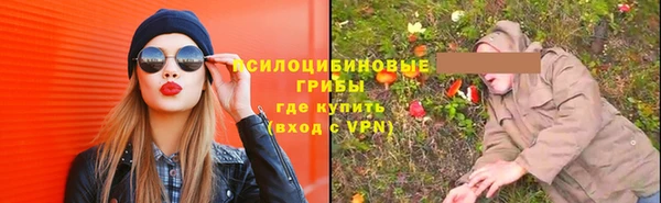 бошки Абинск